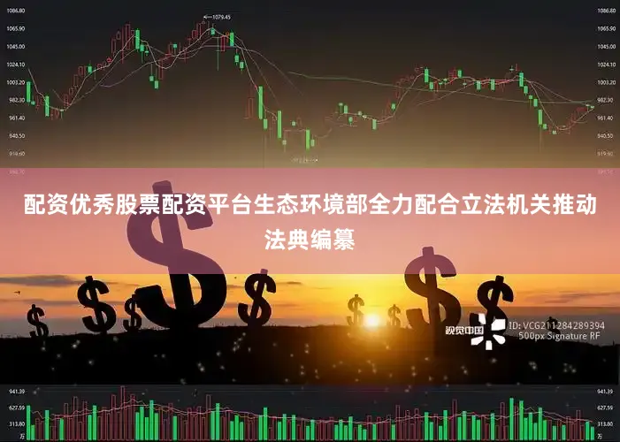 配资优秀股票配资平台生态环境部全力配合立法机关推动法典编纂